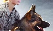 战犬 电影在线观看,忠诚守护，生死较量
