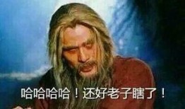 二虎爆料血莲花视频大全,血莲花视频大全背后的惊人真相
