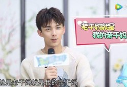 吃瓜娱乐圈吴磊是谁啊,吴磊的崛起之路
