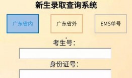 爆料新闻已收录怎么查看,爆料新闻已收录，独家解读事件背后真相