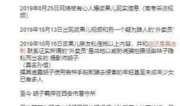 国外摄影师爆料视频网址,揭秘神秘瞬间