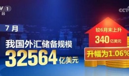 新澳158今日最新爆料,今日最新爆料背后的惊人真相