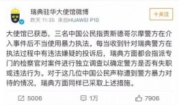 南京游客爆料事件最新消息,最新进展揭秘，真相逐渐浮出水面