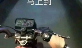 圈内爆料吃瓜的视频,独家爆料，吃瓜视频带你一探究竟
