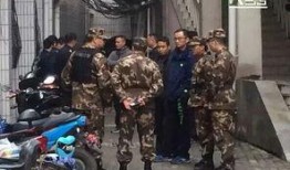郑州爆料最新新闻事件,惊现神秘事件引发社会关注