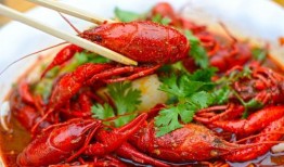 爆料麻辣小龙虾视频大全,一场味蕾的盛宴