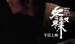 电影 冬在线观看,探寻人性与命运的冰封世界