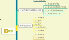 夏季瓶子爆料视频大全集,揭秘热点事件背后的真相