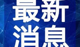 白露夺宝最新爆料视频在线观看,揭秘宝藏之谜，精彩视频在线观看