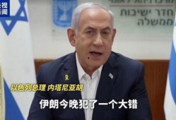 伊朗官员爆料视频大全,揭秘内幕与真相