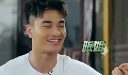 爆料吴昕郑凯是真的吗视频,真相揭秘，视频爆料背后的故事