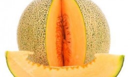 粗暴吃哈密瓜视频免费观看,粗暴吃哈密瓜视频，趣味横生瞬间来袭！