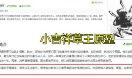 草国须弥爆料解析视频网,揭秘游戏内幕与精彩玩法