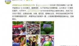 免费学校吃瓜网站,校园生活幕后大揭秘
