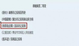 金融诈骗爆料视频最新,最新爆料视频曝光惊人内幕