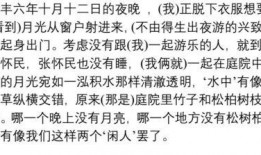 娱乐吃瓜酱文言文翻译,娱乐圈八卦风云录