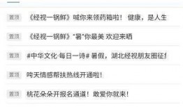 在哪里爆料新闻,新闻源头的神秘力量