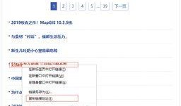 爆料新闻已收录怎么查看,爆料新闻已收录，独家解读事件背后真相