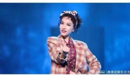 爆料吴昕郑凯是真的吗视频,真相揭秘，视频爆料背后的故事