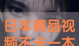 东京精品视频在线观看,在线观看的视觉盛宴