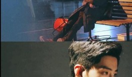 圈内爆料肖战姐姐,揭秘娱乐圈背后的神秘力量