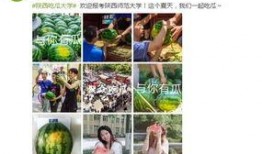 免费学校吃瓜网站,校园生活幕后大揭秘