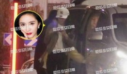 娱乐圈爆料深扒,揭秘明星背后的真相与秘密